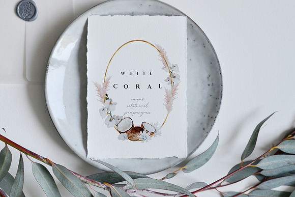 White coral - watercolor set in Illustrations - product preview 6