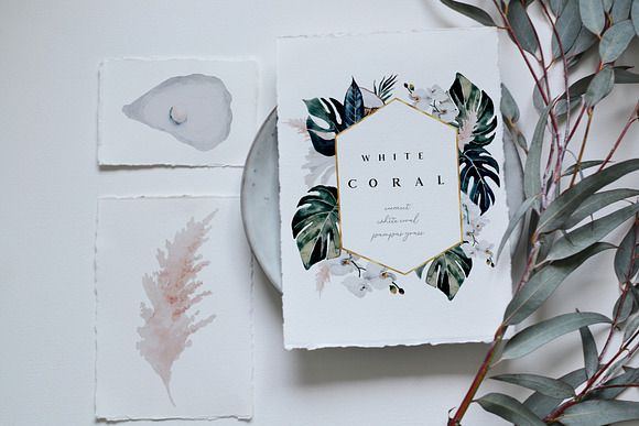 White coral - watercolor set in Illustrations - product preview 7