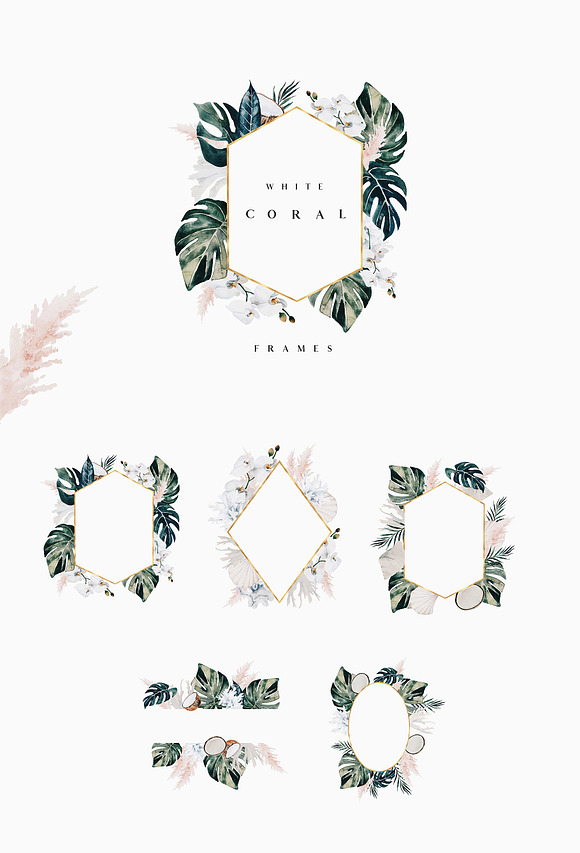 White coral - watercolor set in Illustrations - product preview 8