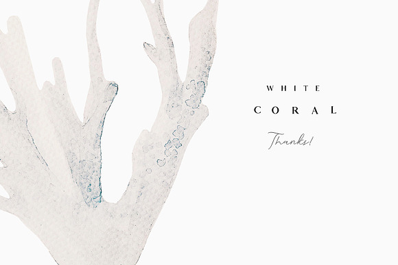 White coral - watercolor set in Illustrations - product preview 11