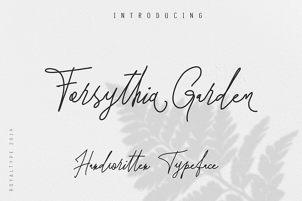 Forsythia Garden |Signature Typeface