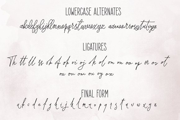 Forsythia Garden |Signature Typeface in Script Fonts - product preview 3