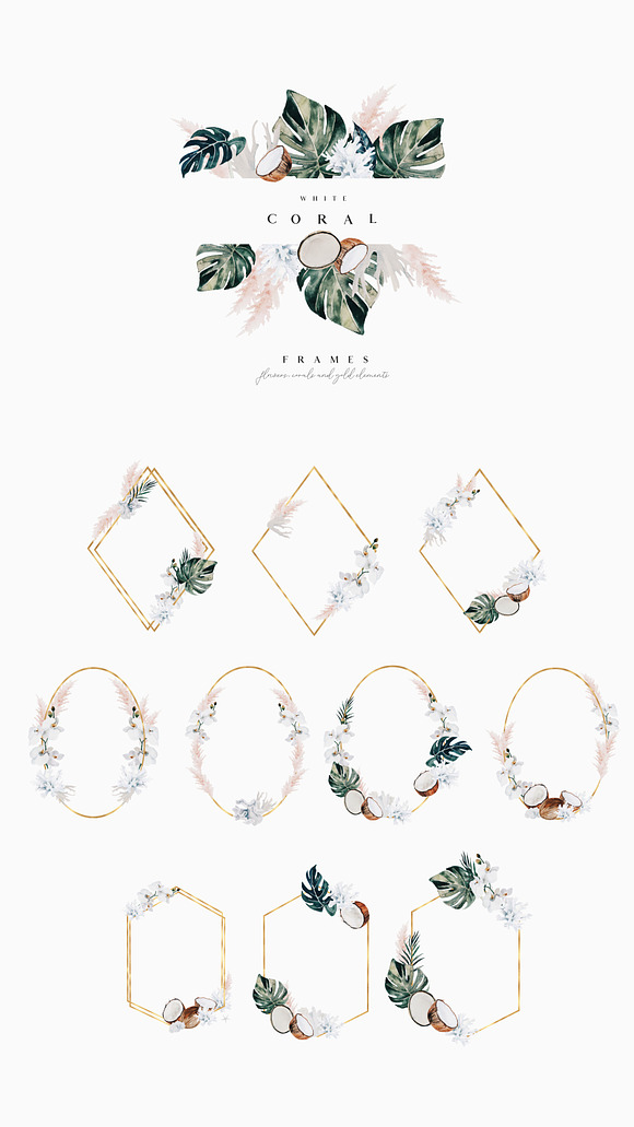 White coral - watercolor set in Illustrations - product preview 13