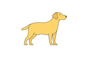 Dog. Animal pets. Labrador retriever