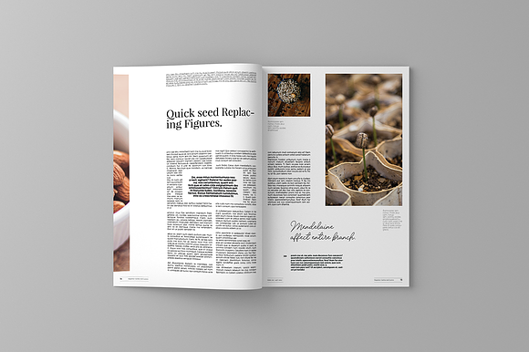 Garden And Leaves Magazine Template in Magazine Templates - product preview 8