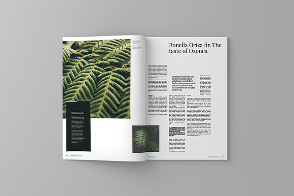 Garden And Leaves Magazine Template in Magazine Templates - product preview 11