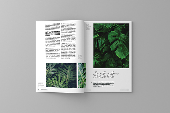 Garden And Leaves Magazine Template in Magazine Templates - product preview 12