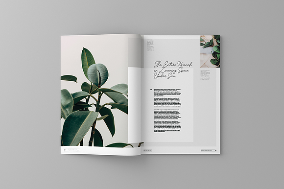 Garden And Leaves Magazine Template in Magazine Templates - product preview 14