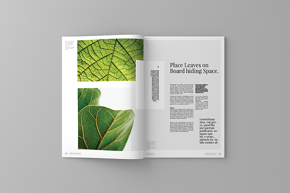 Garden And Leaves Magazine Template in Magazine Templates - product preview 15