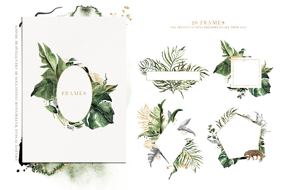 Amazon Jungle Watercolor Collection in Illustrations - product preview 17