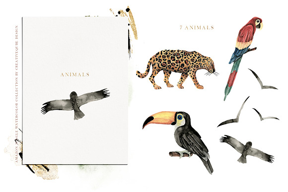 Amazon Jungle Watercolor Collection in Illustrations - product preview 18