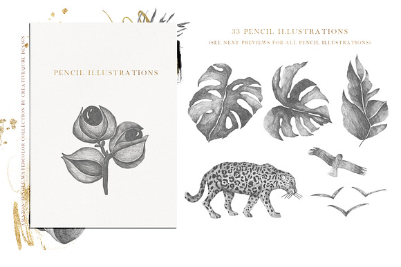 Amazon Jungle Watercolor Collection in Illustrations - product preview 33