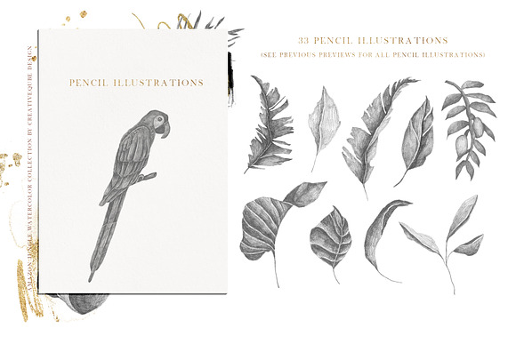 Amazon Jungle Watercolor Collection in Illustrations - product preview 36
