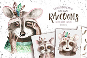 Cute raccoons boho collection