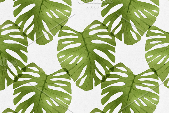 Watercolor Monstera Seamless Pattern in Patterns - product preview 4