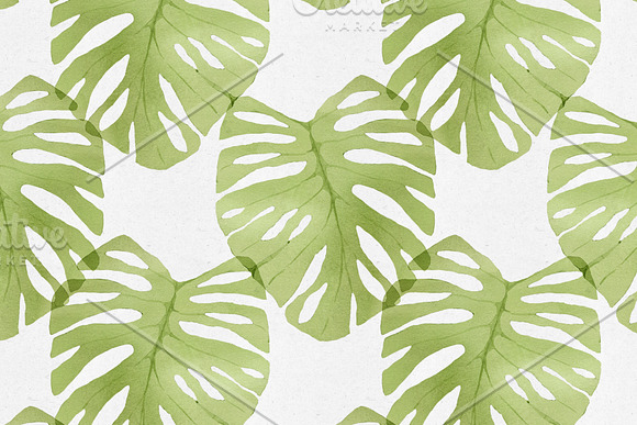 Watercolor Monstera Seamless Pattern in Patterns - product preview 5