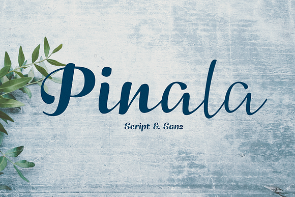 Pinala in Script Fonts - product preview 5