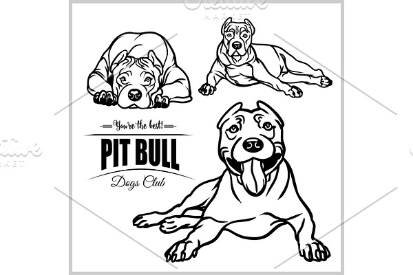 Pit Bull - vector set isolated