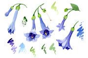 Brugmansia blue Watercolor png