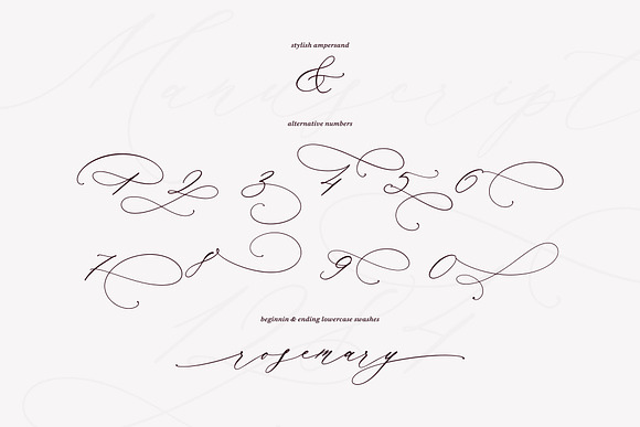 Manuscript 1284 // Calligraphy Font in Script Fonts - product preview 10