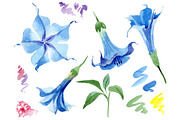Brugmansia soft blue watercolor png