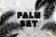 Palm Set.