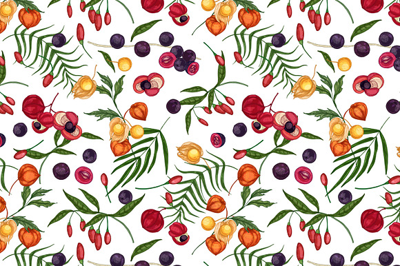 Superfood set and seamless in Illustrations - product preview 3