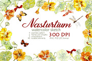 Nasturtium. Watercolor set