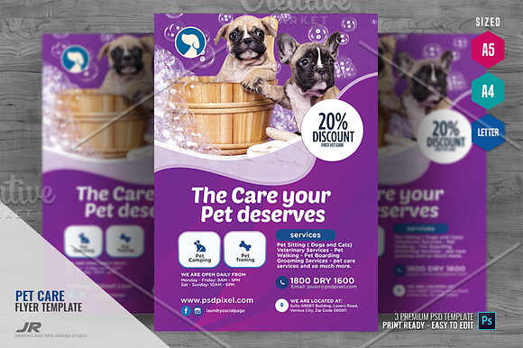 Pet Care Promotional Flyer in Flyer Templates - product preview 1