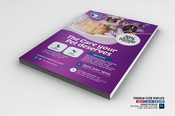 Pet Care Promotional Flyer in Flyer Templates - product preview 2