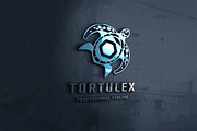 Turtle Decorative Logo