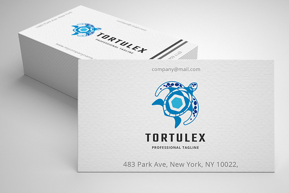 Turtle Decorative Logo in Logo Templates - product preview 1