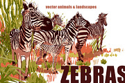 Vector zebras