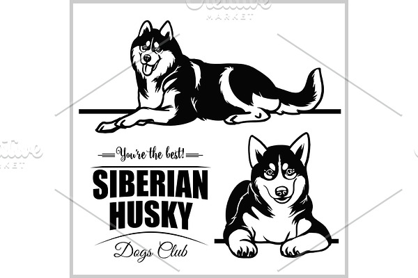 Siberian Husky - vector set isolated