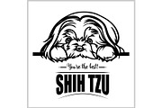 Shih Tzu - vector illustration for t