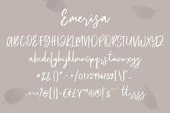Emerisa Modern Brush Script in Script Fonts - product preview 2