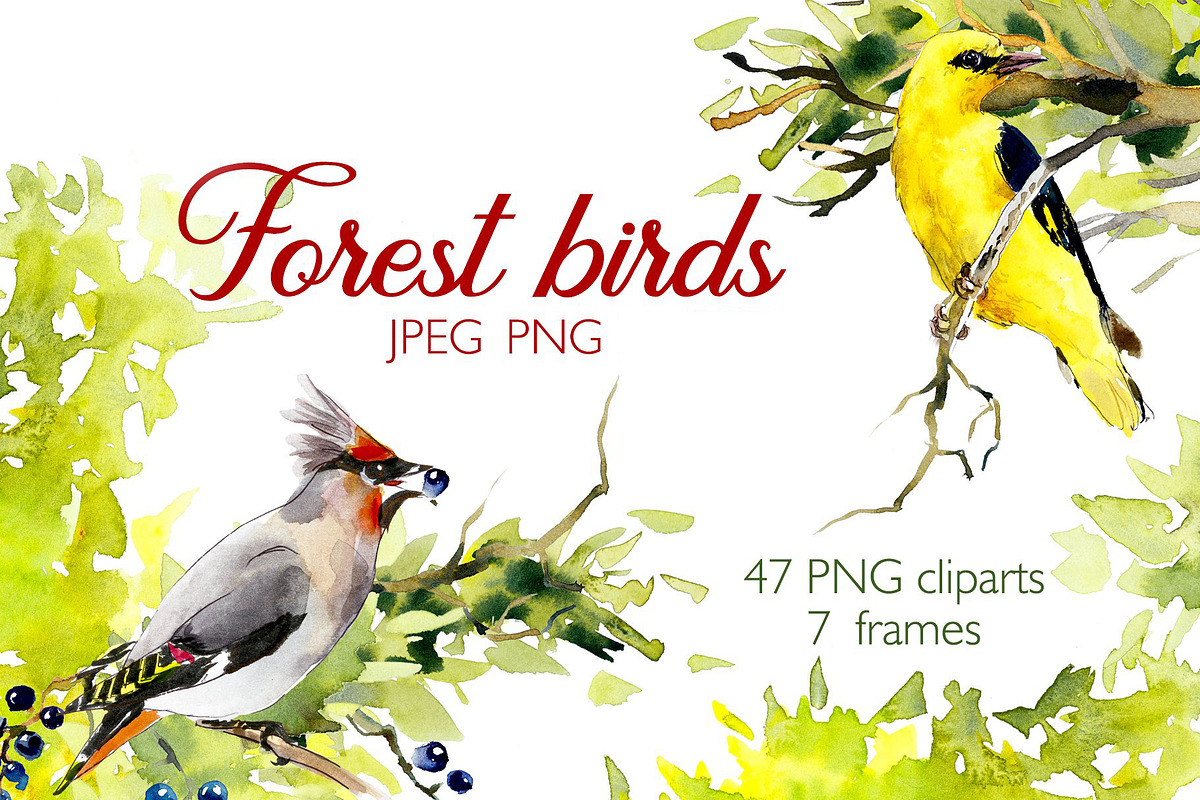 Watercolor forest birds. Frames. in Illustrations - product preview 8