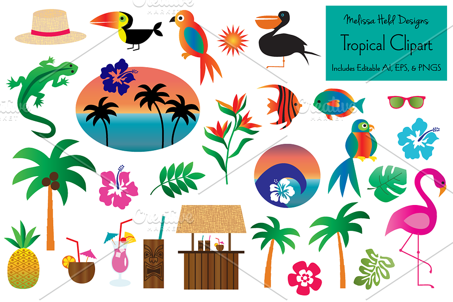 Tropical Clipart | Custom-Designed Illustrations ~ Creative Market