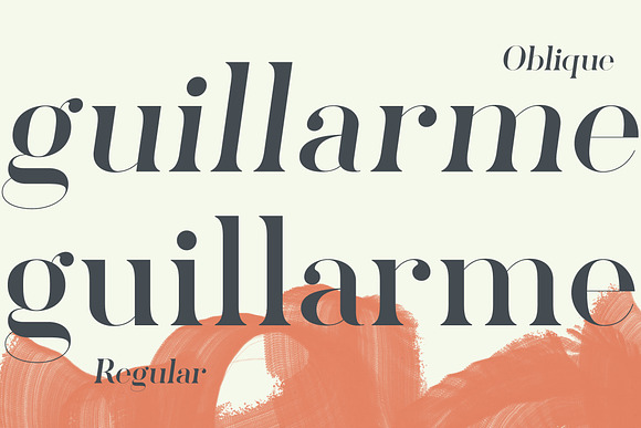 Pellago Basic — Classic Serif Family in Serif Fonts - product preview 2