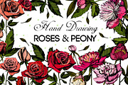 Hand drawing Roses and Peonies