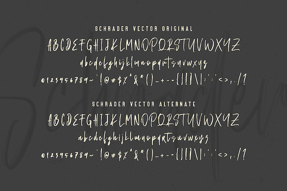 SCHRADER SVG Brush Font - Free Sans in Script Fonts - product preview 9