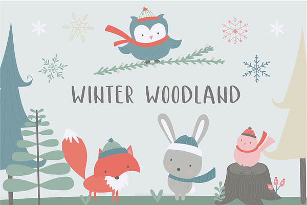 Winter woodland