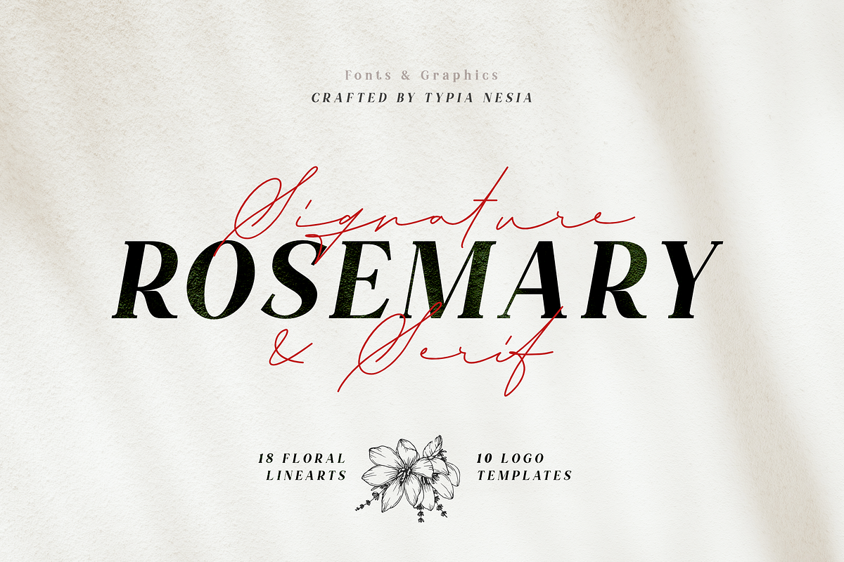 TN Rosemary Font Duo & Graphic in Serif Fonts - product preview 8