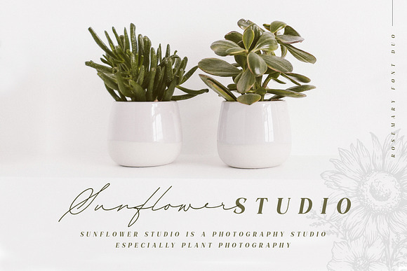 TN Rosemary Font Duo & Graphic in Serif Fonts - product preview 9