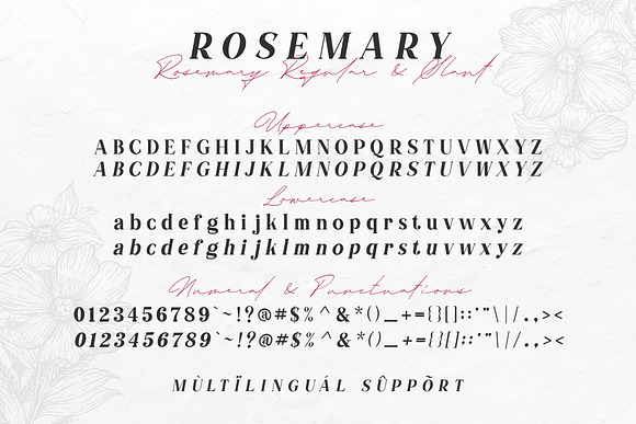 TN Rosemary Font Duo & Graphic in Serif Fonts - product preview 21