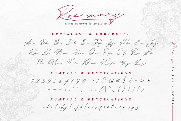 TN Rosemary Font Duo & Graphic in Serif Fonts - product preview 22