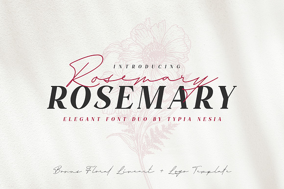 TN Rosemary Font Duo & Graphic in Serif Fonts - product preview 31