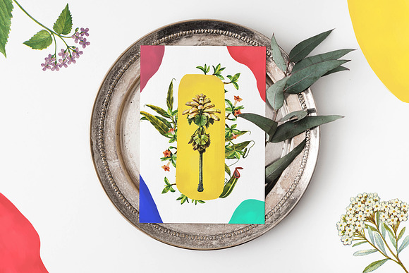 Dryad - Botanical Illustrations in Illustrations - product preview 1