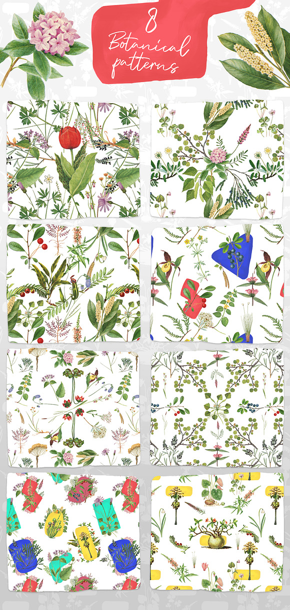 Dryad - Botanical Illustrations in Illustrations - product preview 7