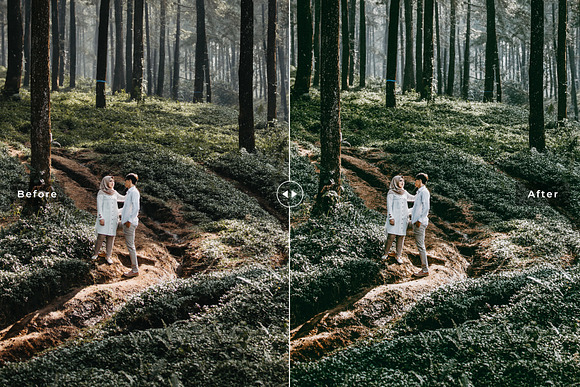 Indonesia Pro Lightroom Presets in Add-Ons - product preview 3